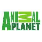 Логотип Animal Planet
